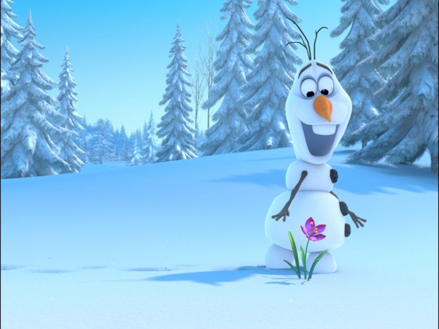 The latest animated Disney movie, Frozen, is visually appealing and interesting. It may not be on the level of the Lion King, but it is certainly still worth watching. 